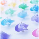 한인터내셔널 이미지