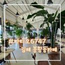 파티오6747 이미지