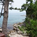 바다엔소나무 이미지