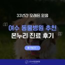 여수 동물병원 추천, 순천 온누리 진료 후기