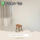 쎄븐칼라 | 청주 증명사진 잘 찍는곳 느좋 스튜디오 마니피크