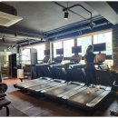 데일리피티 이미지