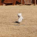 십일월오일 이미지