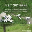 솔바람 마트