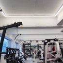 라인 피트니스 이미지