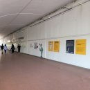 킹덤태권도 | 서울잠실무료전시: [빈센트발] 쉐도우그림 '그림자가 남긴 한 컷'후기