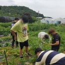 수원-0703 이미지