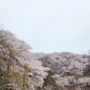 SK석유 이미지
