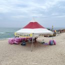 세븐일레븐 강릉사천진리점 이미지