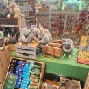 (주)지금 | 호주 시드니 동물원 추천 타롱가주 입장권 전일 구매해서 다녀온 후기