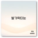 연성약국 | 발가락 티눈 초기 증상부터 제거 방법과 병원 치료까지 꼭 알아두세요