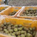 귤하우스 이미지