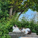 참된주유소 이미지