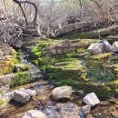 경북부동산중개사무소 이미지