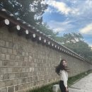 이나은 카카오 검색결과