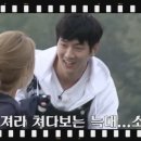 대관령초원 이미지