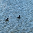 큰승주약국 이미지