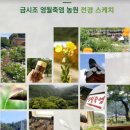 덕전길 이미지