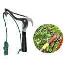 돌다리몰 이미지