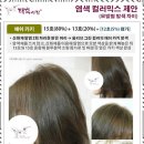 태후사랑염색 - 군포시 송부로273번안길 2 | 태후사랑염색