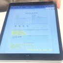 벨르래쉬 | 두정동 듀얼펌 :: 래쉬벨르 완벽한 언더펌 후기