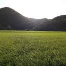 그린민박2 이미지