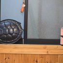 정감목장 이미지