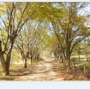 문화마을길-2 이미지