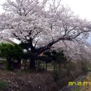 상리마을경로당 이미지