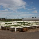 경재 농장 이미지