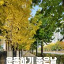 스튜디오 본비 이미지