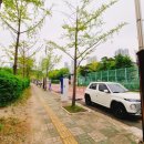 호수공원 옆 화장실 이미지