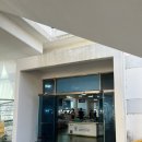 감포해산물 | 감포수산시장 가성비 부부수산 해산물세트 후기