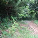 방울산등산로 이미지