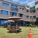 아리 동물병원 이미지