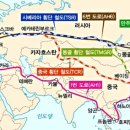 평화여행자