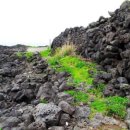 삼양환해장성 이미지