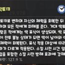 달토끼 이미지