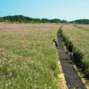 경포저류지 이미지