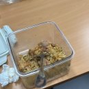 거두리시골밥상 | 너무 덥고, 덥고 또 더웠던 평균체감기온 30도의 8월