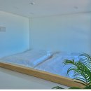 스테이하몽 이미지