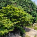 향원산장 이미지