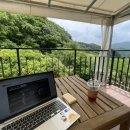 리틀 타이니 하우스 이미지