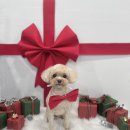 개린이살롱 이미지