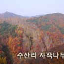 수산리-8 이미지