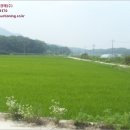 양사면사무소 이미지