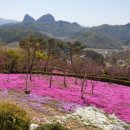 동산잔디 이미지