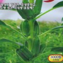 진양원예사 이미지