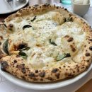 제리식탁 | [판교 맛집] 핏제리아체뽀: 블루리본 화덕피자 찐맛집! 주차, 메뉴 추천 내돈내산 후기