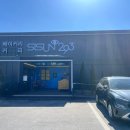 293 | 세종 대형카페 시선293 후기 | 고흐 감성 카페, 사진찍기 좋은 세종 핫플